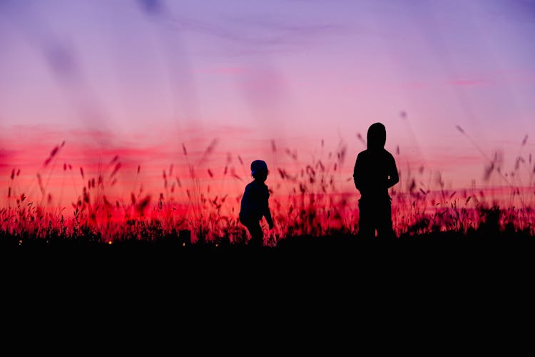 Silhouette Of Kids Playing On A Grass Field During Sunset