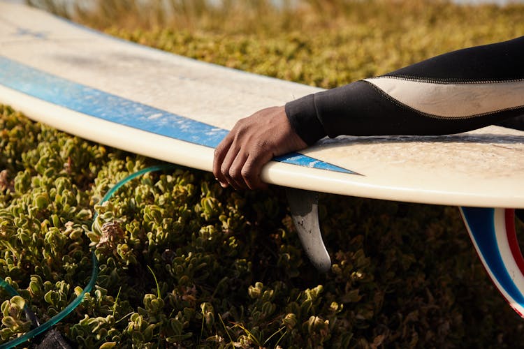 Faceless Black Surfer With Surfboard Near Greenery Shrubs