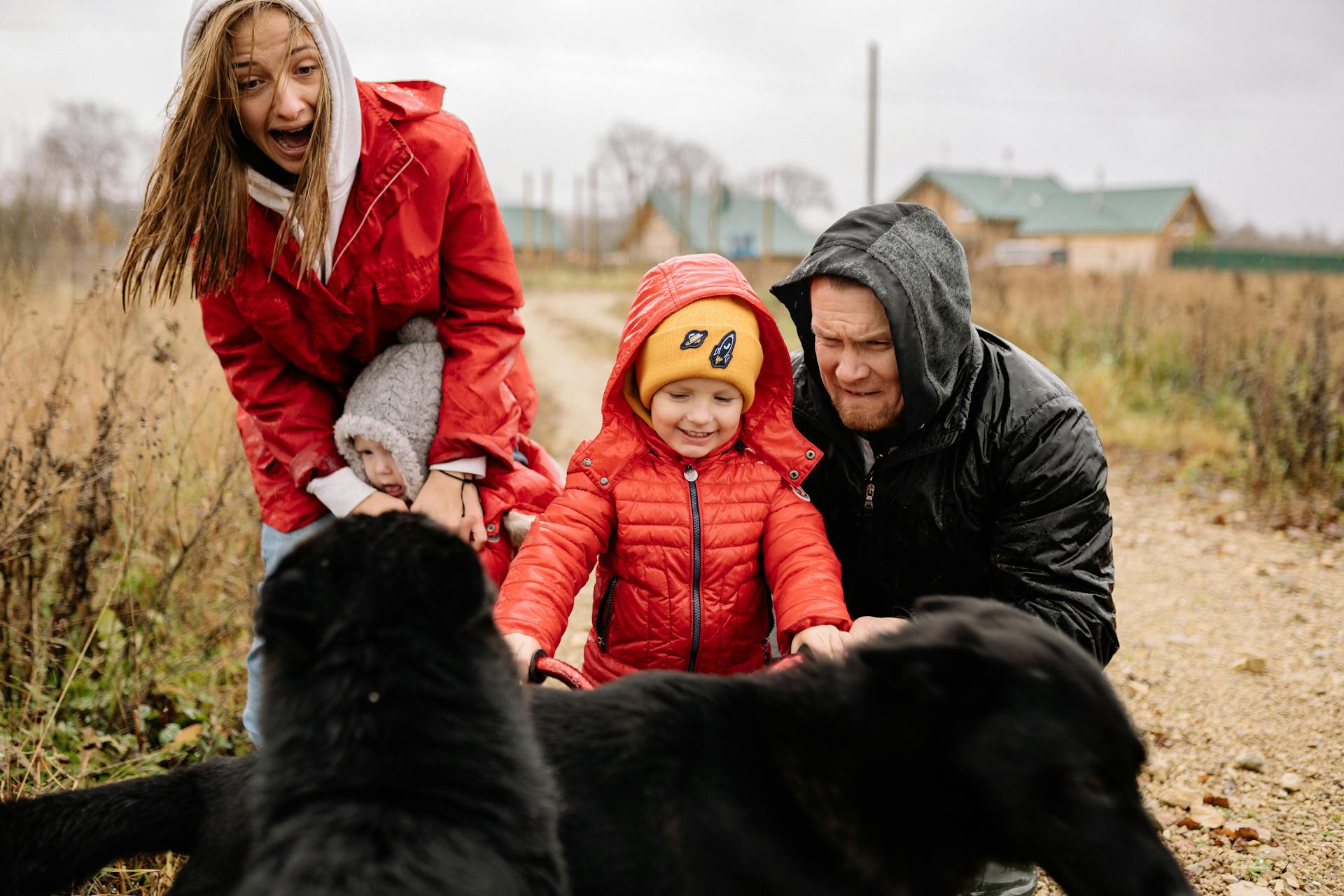 A Family Outside with Their Pet Dogs