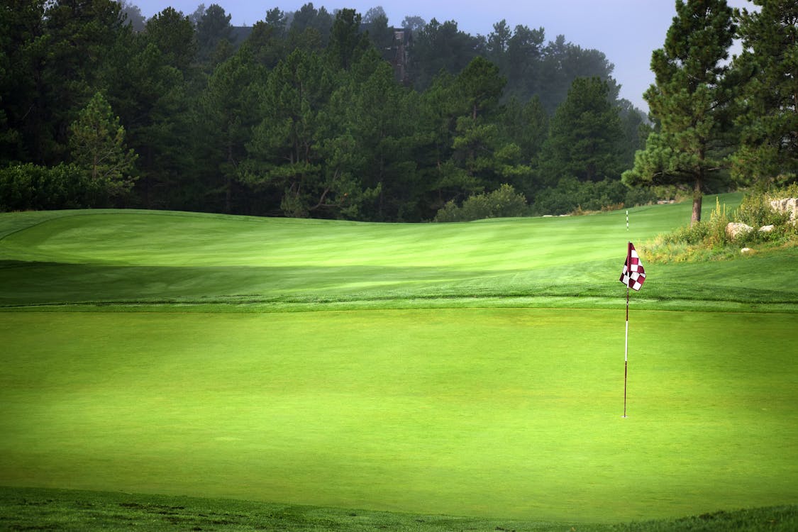 Free stock photo of checkered, golf, golf course