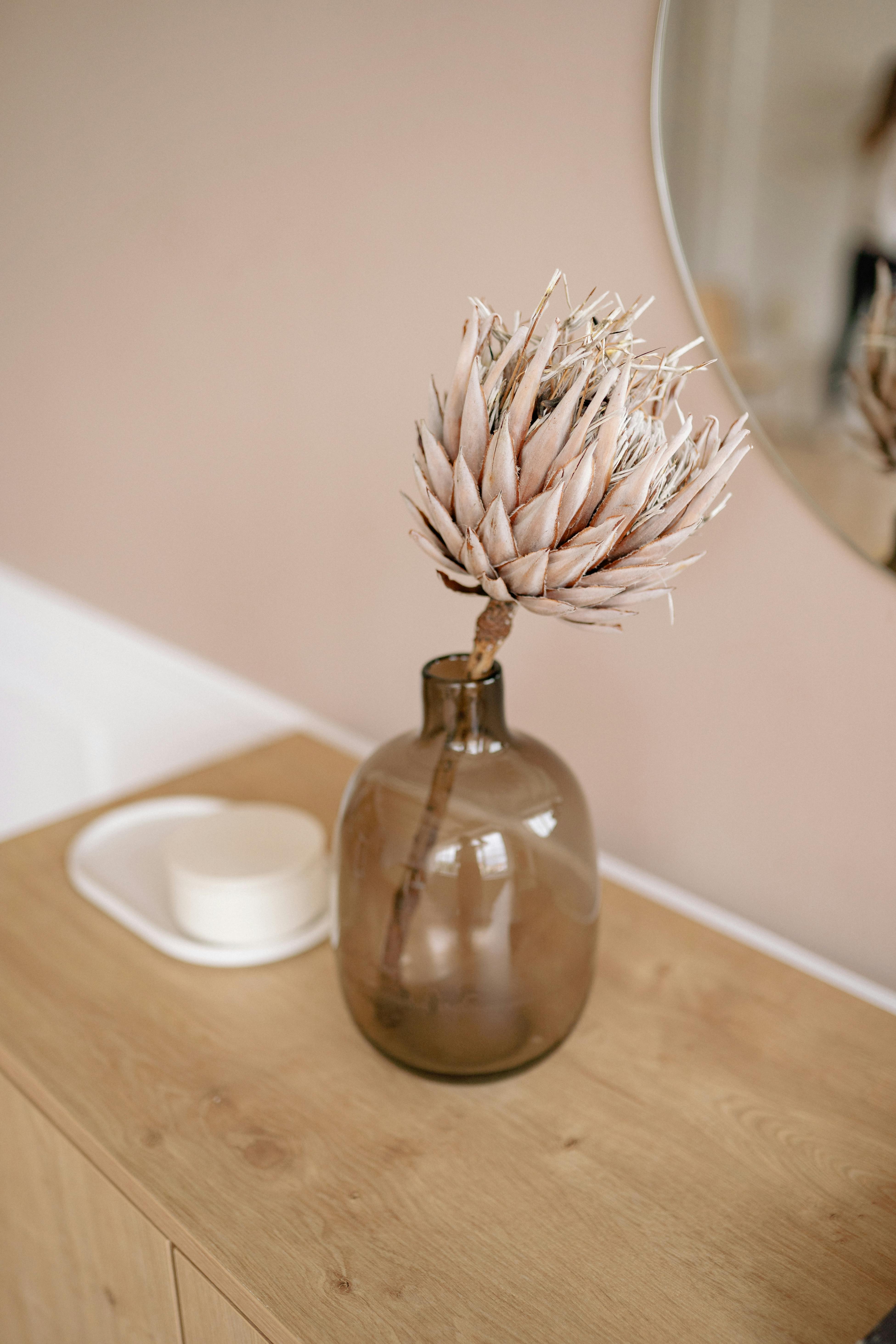 A Dried Flower in a Glass Vase · Free Stock Photo