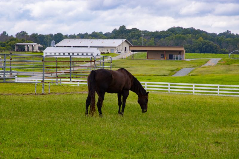 Ocala