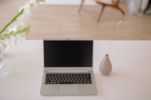 Free Stylish home office desk featuring a laptop, vase, and decorative plants in a minimalist setting. Stock Photo