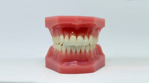 Základová fotografie zdarma na téma bílé zuby, bílý povrch, chrupu