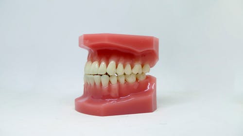 Beyaz arka plan, diş, dişler içeren Ücretsiz stok fotoğraf