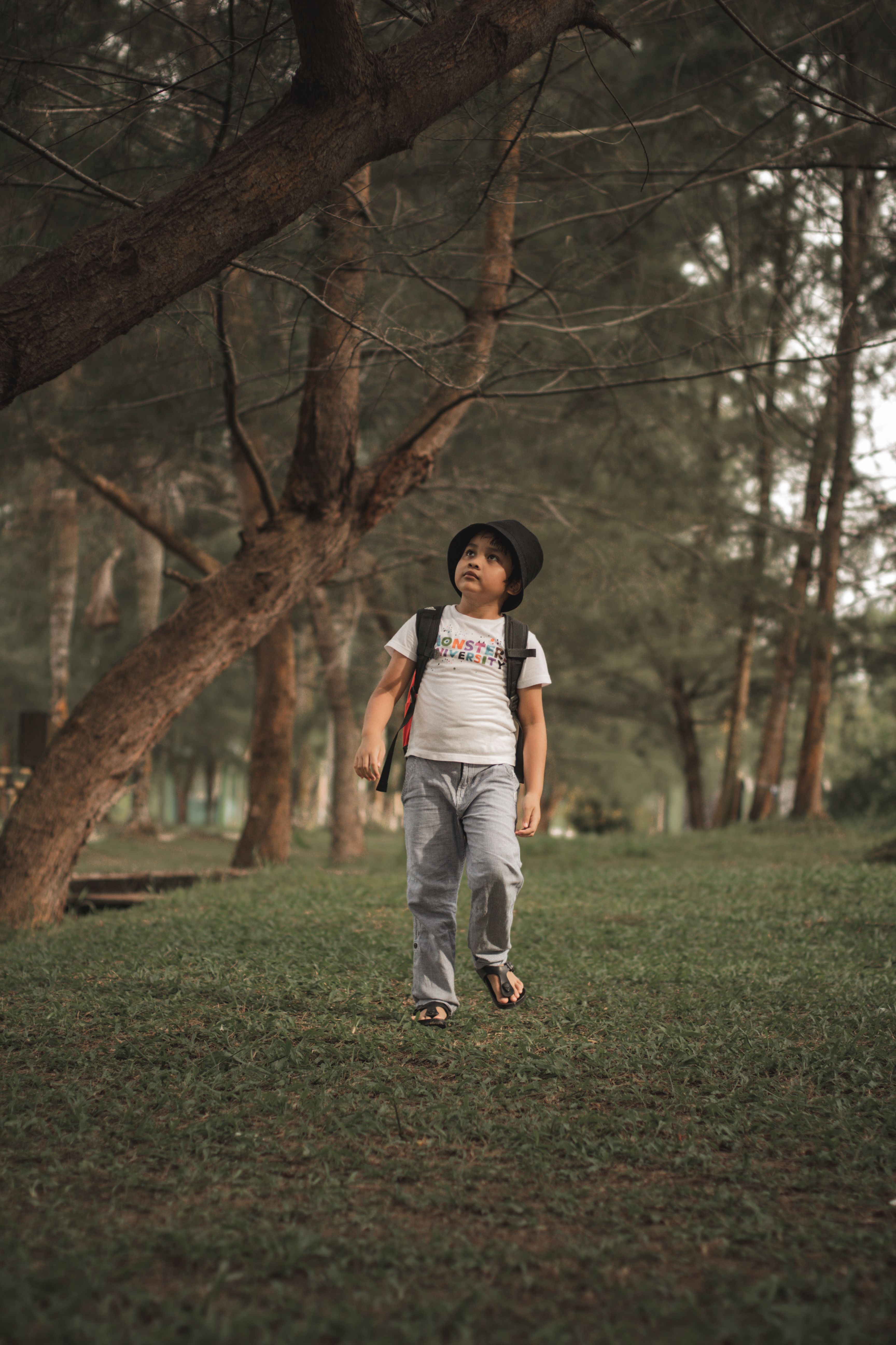 Boy Walking under the Trees in a Park · Free Stock Photo