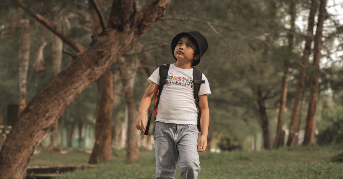 Tree Walkboy Boy Walking under the Trees in a Park · Free Stock Photo