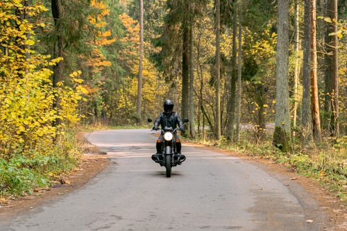 Free A biker in black leather rides through a scenic autumn forest road. Stock Photo