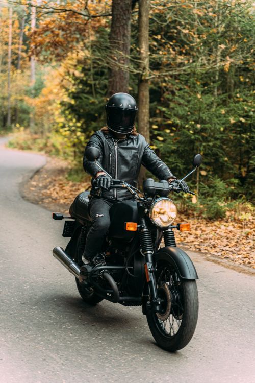Free A biker in black gear rides a motorcycle through a scenic forest road during fall. Stock Photo