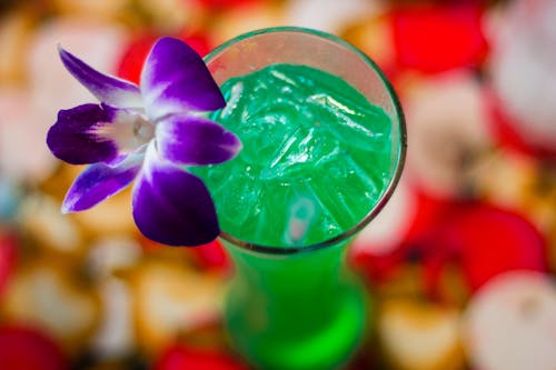 Free stock photo of alcohol, cocktail, drinking