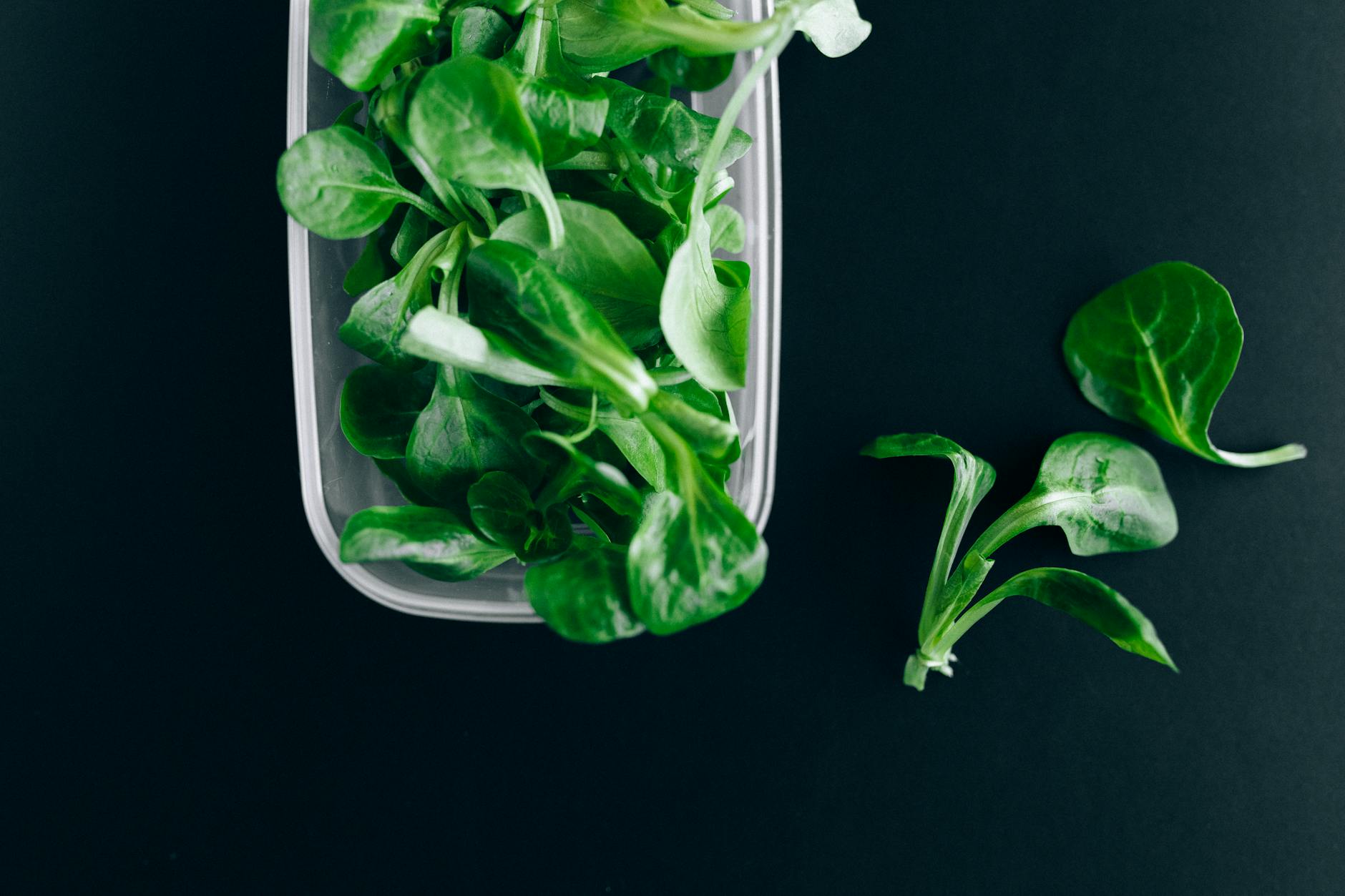 food preservation techniques