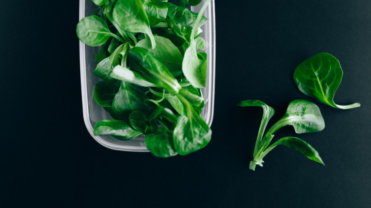 Meilleurs accessoires de cuisine pour réduire le gaspillage alimentaire - illustration