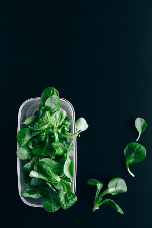 Foto profissional grátis de alimento, comidas saudáveis, fechar-se