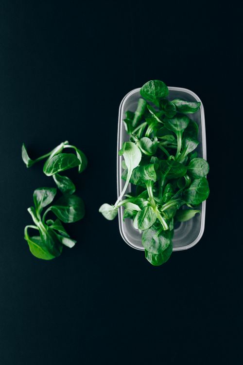 Free Top view of vibrant green leaves in a plastic container, perfect for healthy recipes. Stock Photo