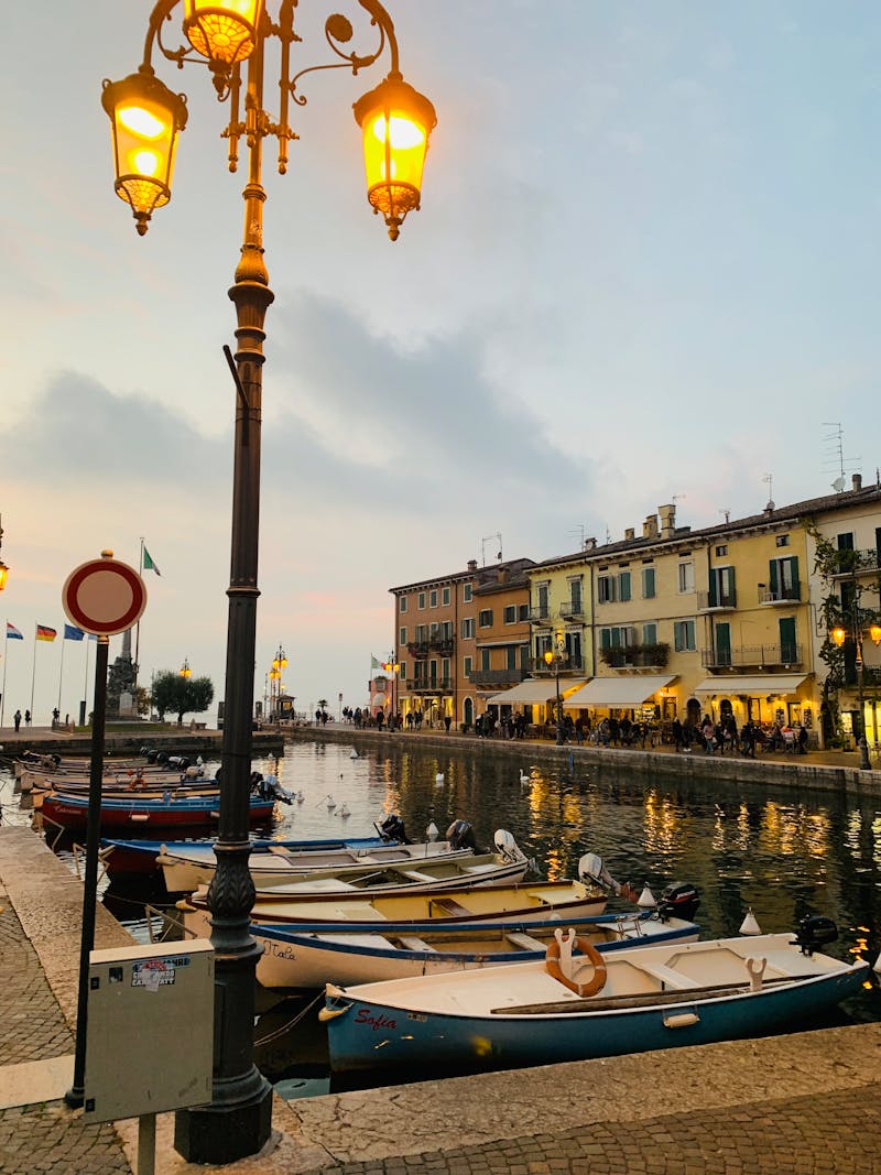 지방산 구성 이미지