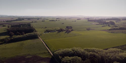 Fotos de stock gratuitas de campo, campos agrícolas, foto con dron