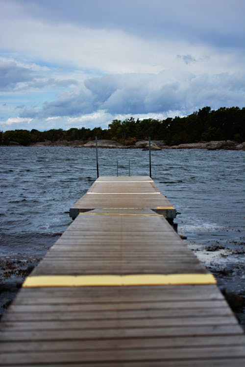 Gratis arkivbilde med brygge, landingsbrygge, vill