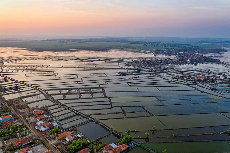 Artificial Ponds And House Roofs On Fish Farm