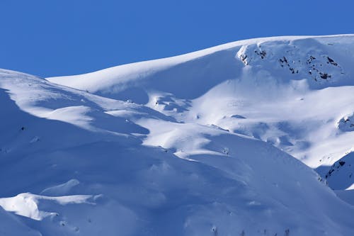 Foto d'estoc gratuïta de cels blaus, muntanya nevada, neu