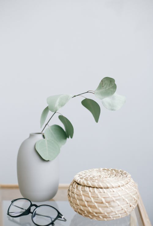 Glass table with wicker basket and green plant twig in light blue vase near eyeglasses