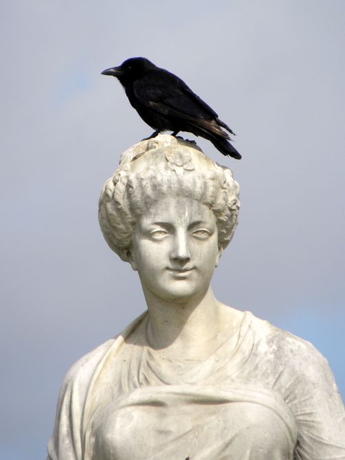 Free A raven rests atop a neoclassical statue set against a cloudy Parisian sky. Stock Photo