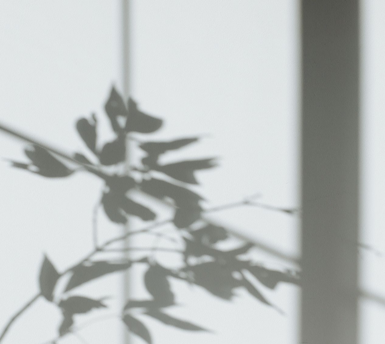 Shadow Photos, Download The BEST Free Shadow Stock Photos & HD Images