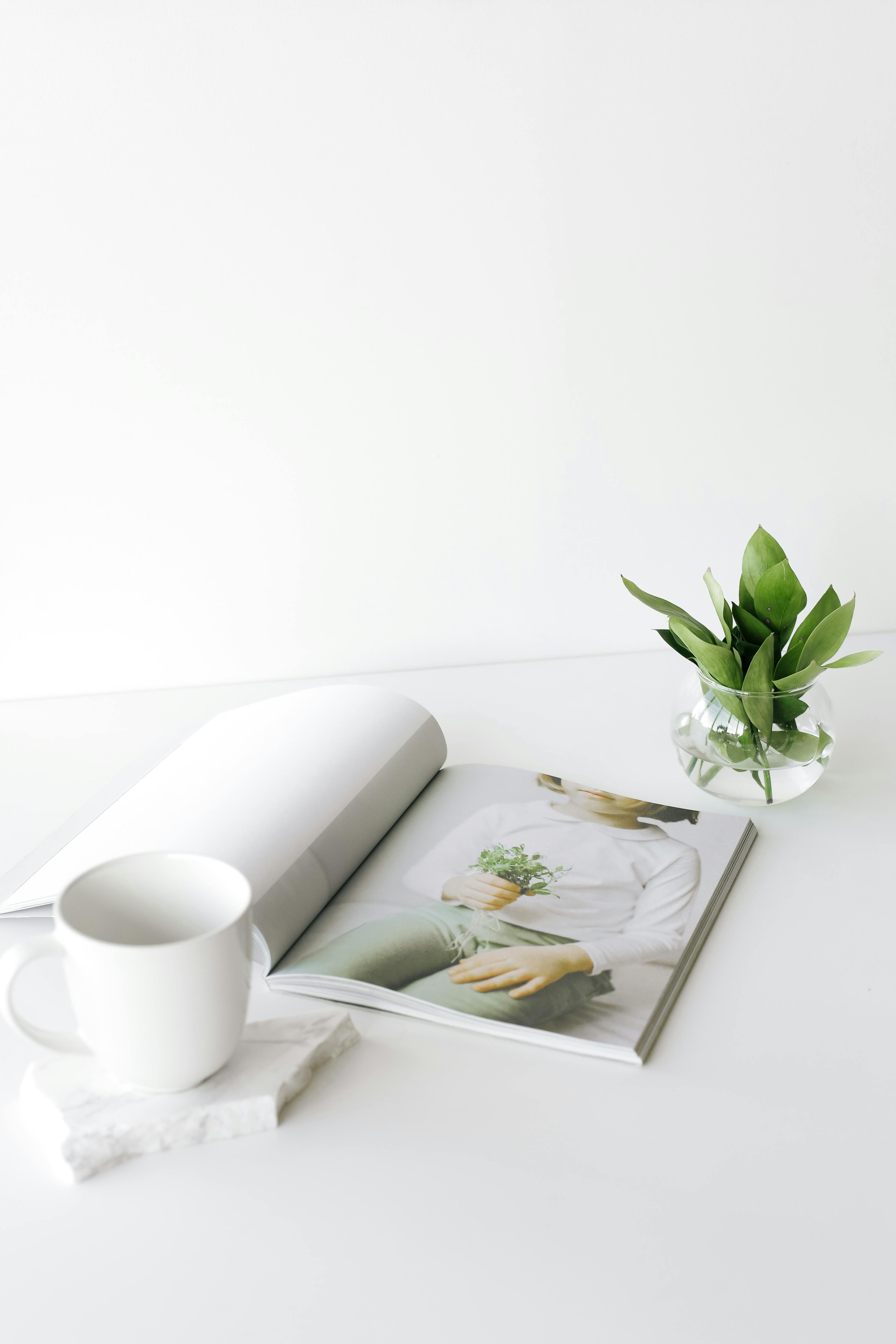 opened magazine on desk near cup and plant leaves