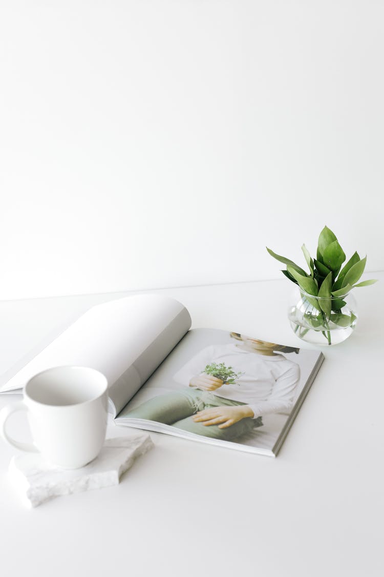 Opened Magazine On Desk Near Cup And Plant Leaves