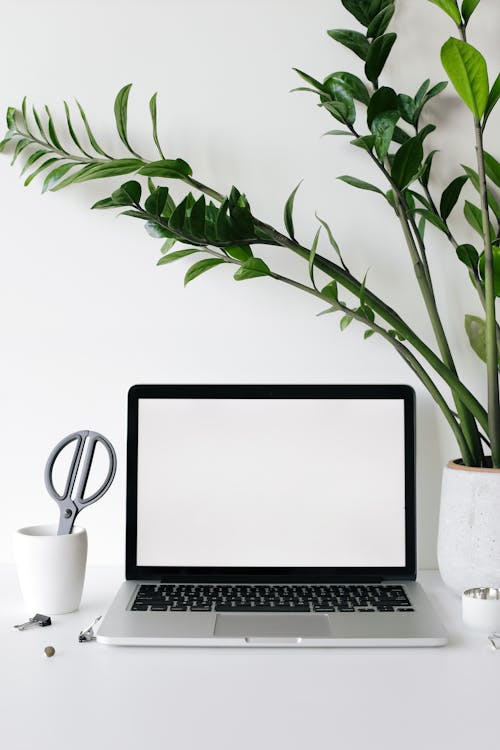 Ordinateur Portable Sur Le Bureau Près D'une Plante D'intérieur Luxuriante