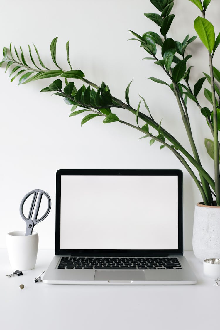 Laptop On Desk Near Lush Houseplant