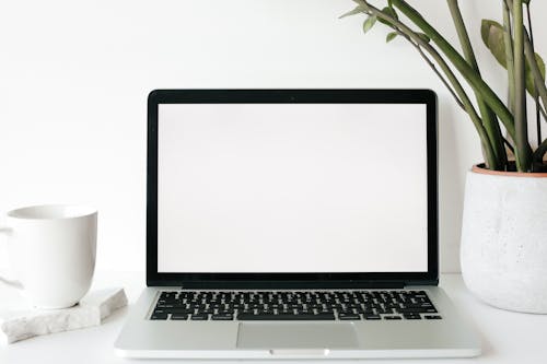 Free Close-Up Shot of a Laptop beside a Mug and Plant on a White Table  Stock Photo