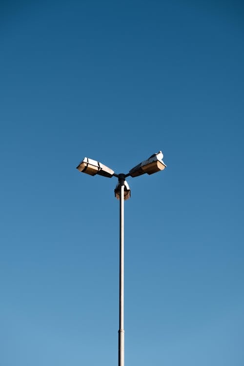 垂直ショット, 屋外, 街灯の無料の写真素材