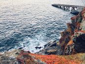 Brown Wooden Dock