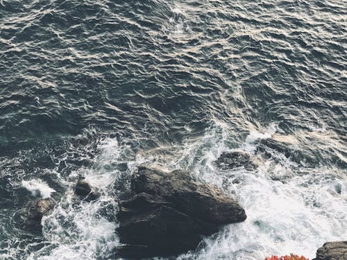 Free stock photo of ocean, rocks, waves