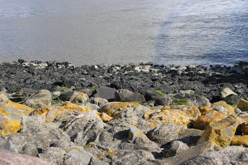 Безкоштовне стокове фото на тему «meer, natur, nordsee»