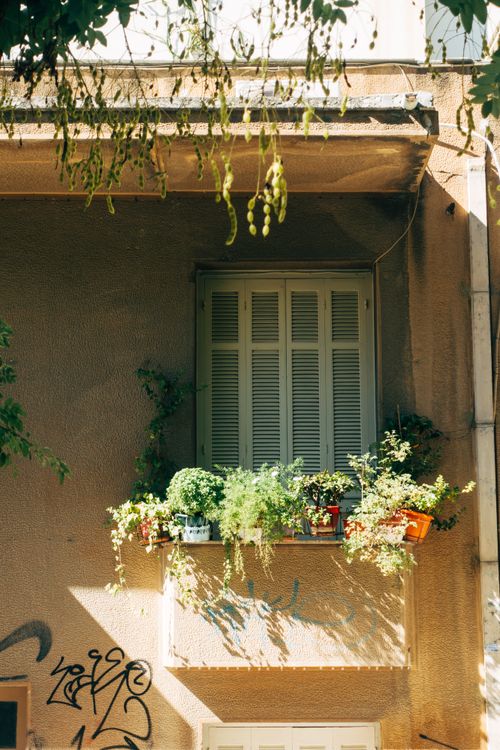 Free Sunlit balcony with various potted plants, casting shadows on a graffiti-marked wall. Stock Photo