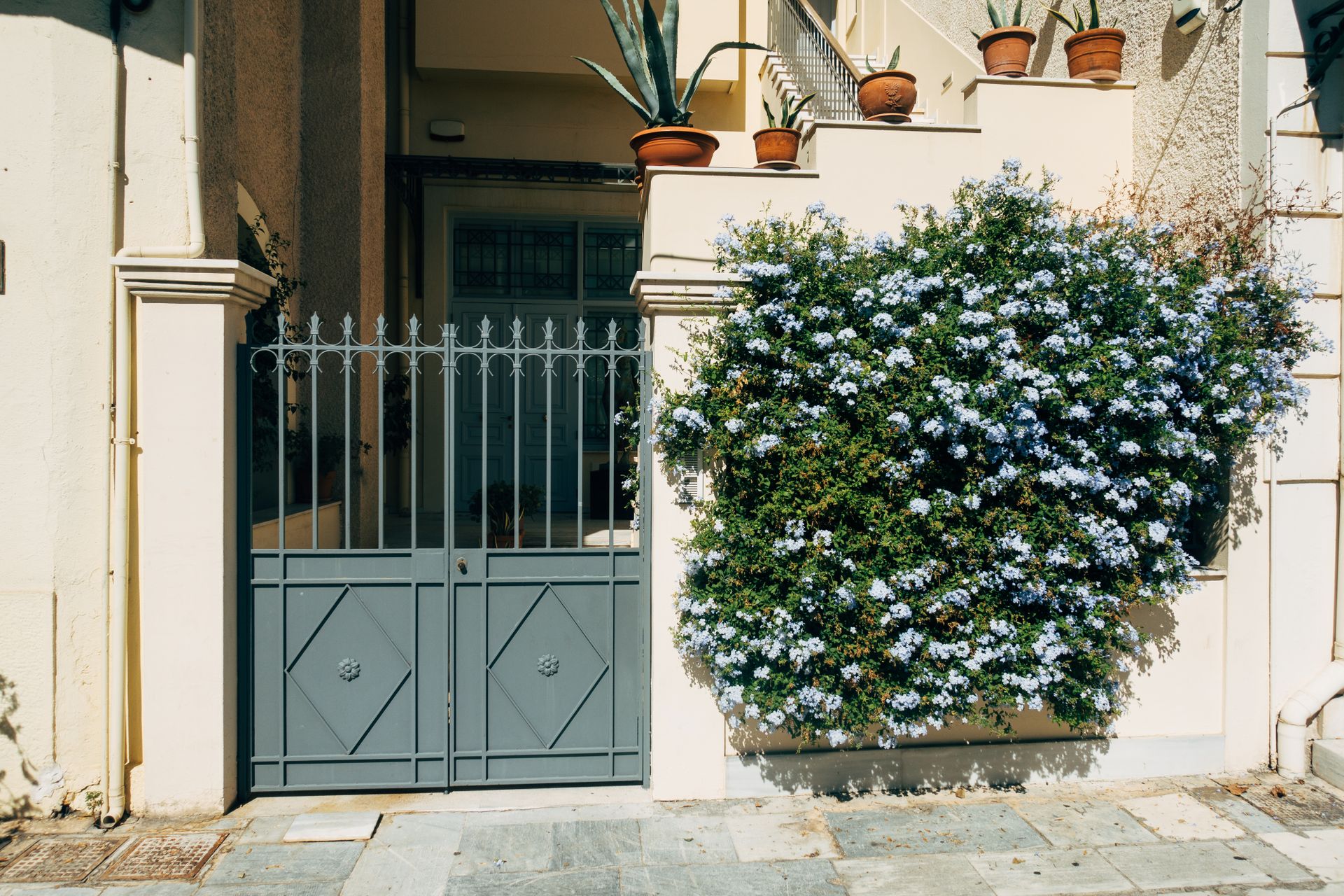 Plant Box On Wall With Flowers Beside A Gate