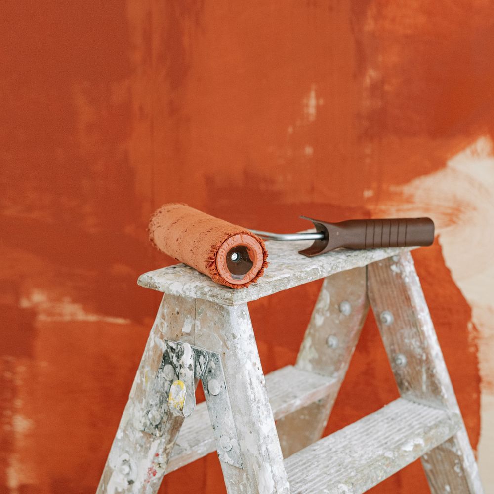 A bold feature wall mid-paint with roller and ladder