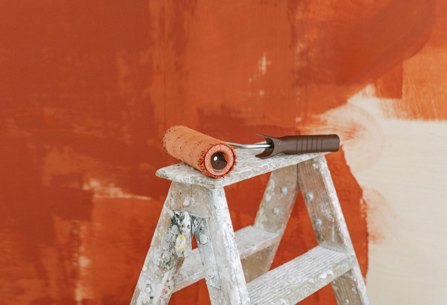 A bold feature wall mid-paint with roller and ladder