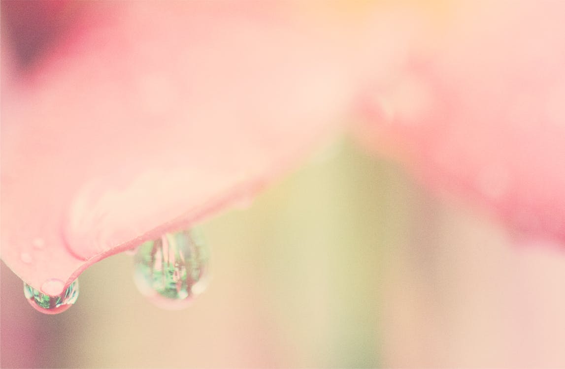 Water Droplets in Shallow Photo
