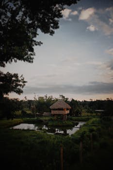 A peaceful countryside landscape featuring a nipa hut by a pond at dusk, surrounded by trees and lush greenery.