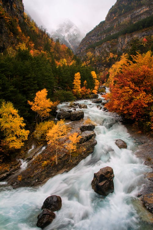 A River in the Mountains 