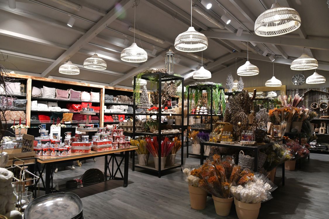 Very Store Store with Variety of Products and Souvenirs on Display · Free Stock Photo