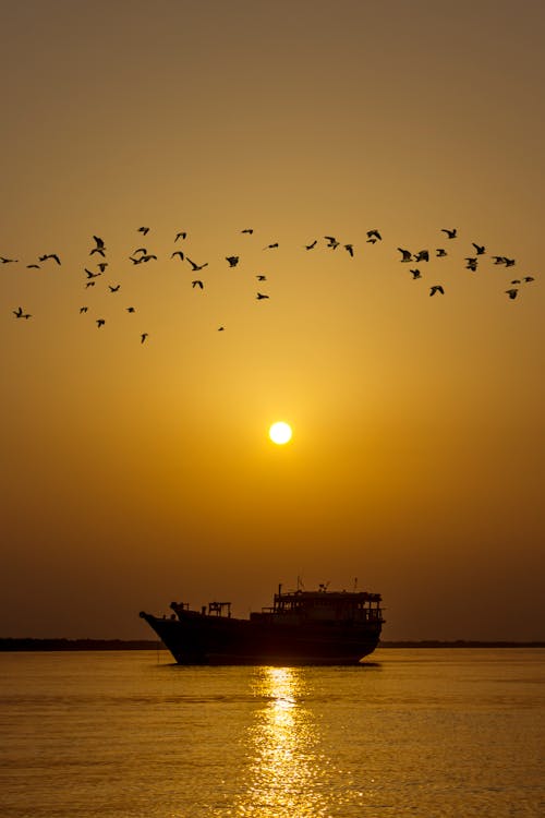 Fotos de stock gratuitas de agua, amanecer, anochecer