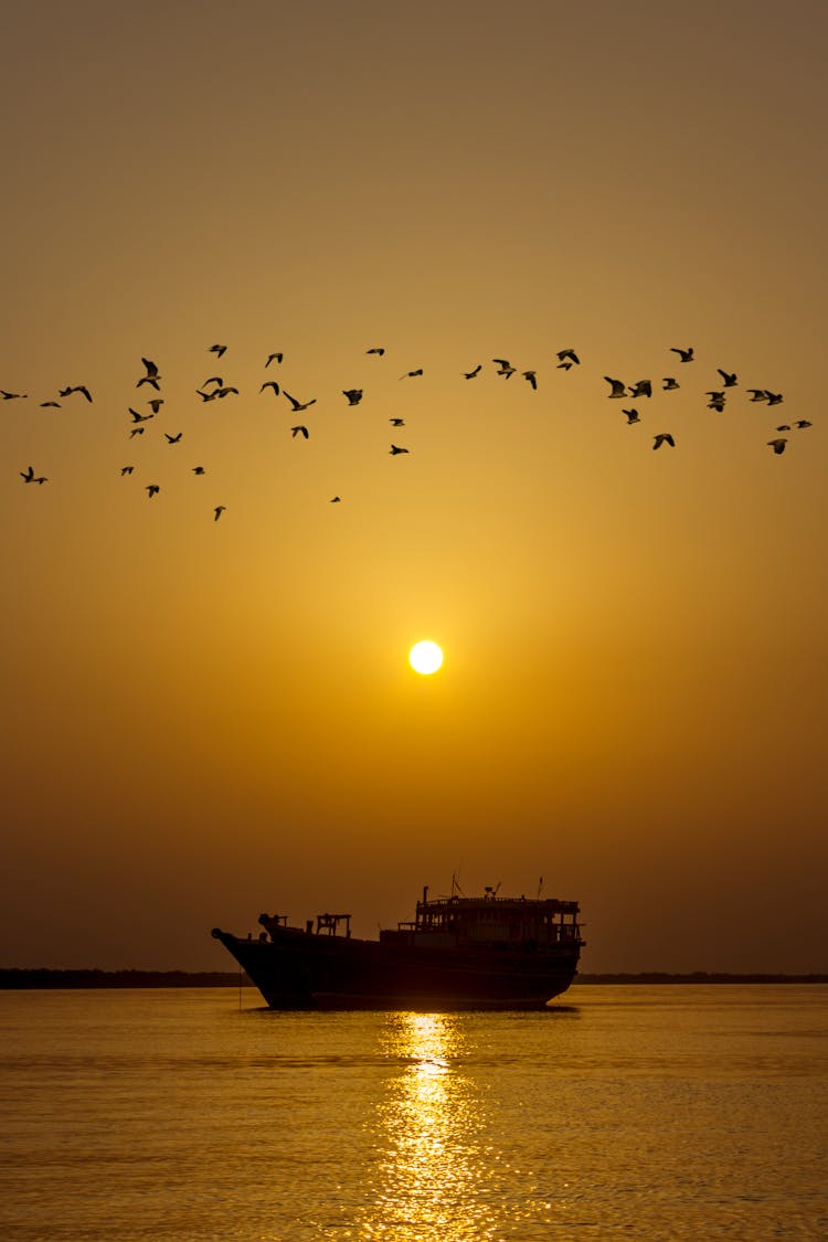 Silhouette Of Birds Flying Above A Boat 