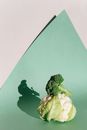 绿色背景上，西兰花和花椰菜排列出皮影戏的艺术效果