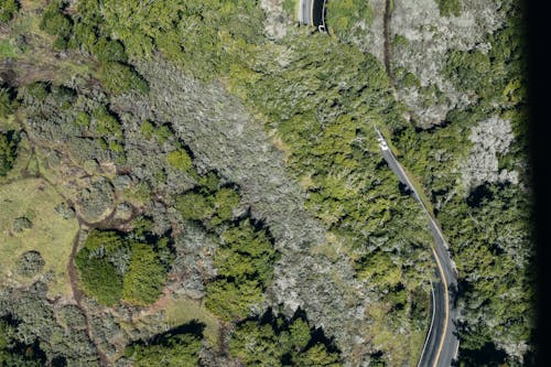 Drone view of winding asphalt narrow highway between green woodland with meadow and small white car going down