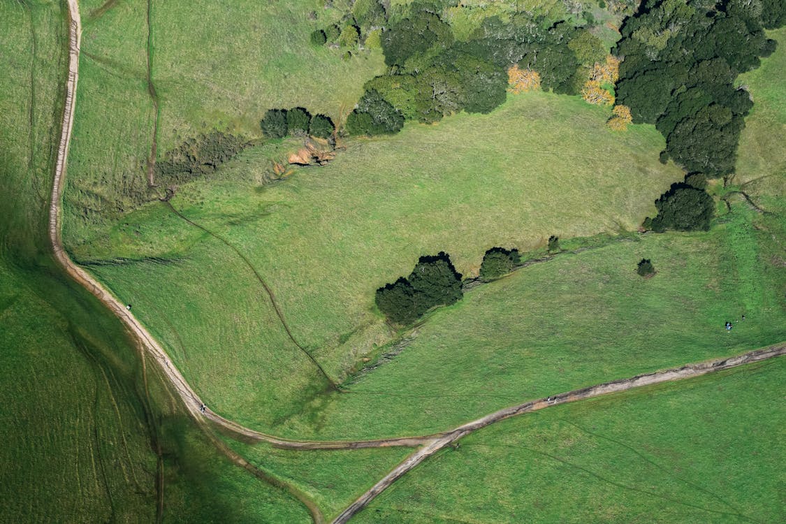 Curvy road in countryside from drone