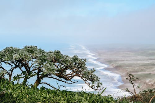 Côte Tropicale De L'océan Sans Fin