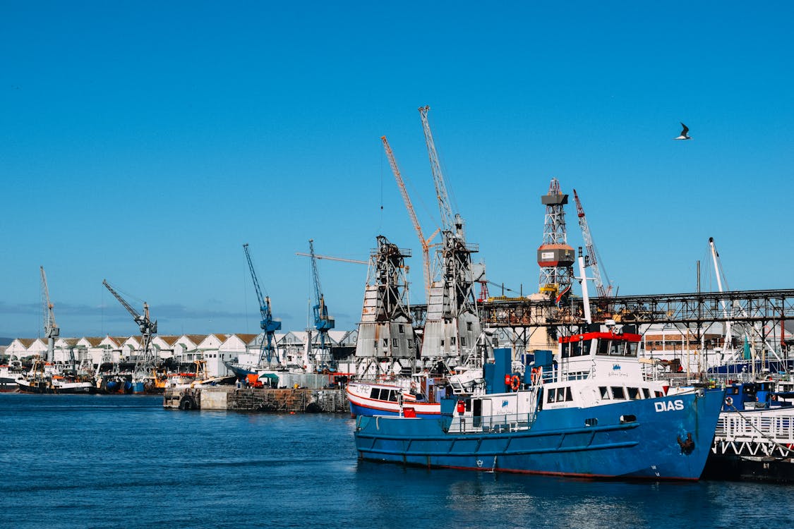 Industrial dock with contemporary cranes and moored cargo vessels in blue water in sunlight